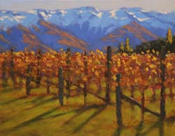 05 230423 Autumn vines, Bendigo 4535