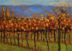 14 230501 The Pisa Range from Bannockburn 3525