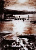 071115 Otago Harbour