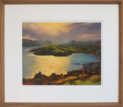 11 250303 Clearing Southerly, Akaroa 7868F