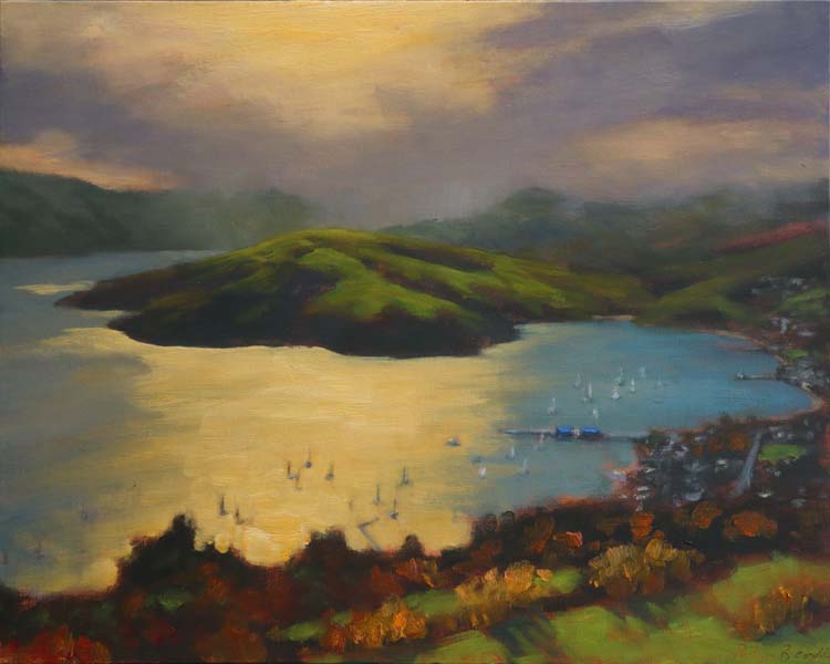 11 250303 Clearing Southerly, Akaroa 5040