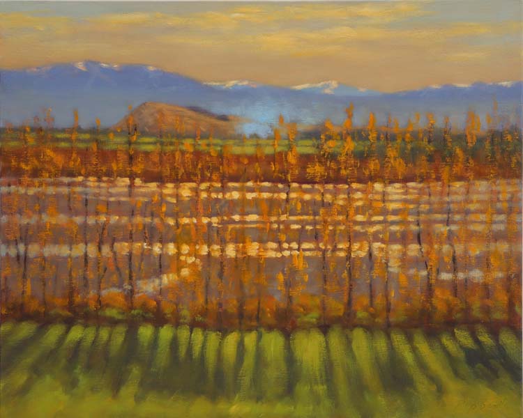 13 250303 View Hill from the Waimakariri River 5040