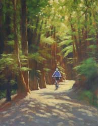 16 250303 Mountain Biker on the Timber Trail 3545